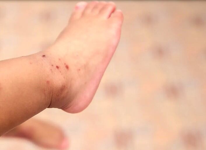 Crédito: Suministrada.