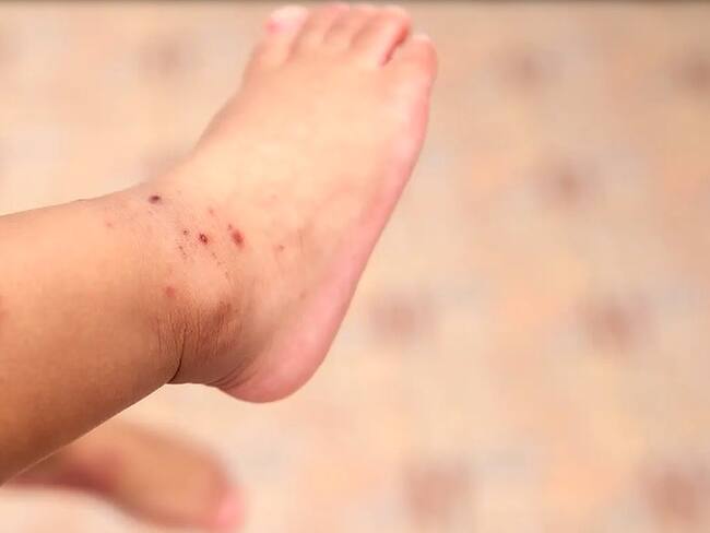 Crédito: Suministrada.