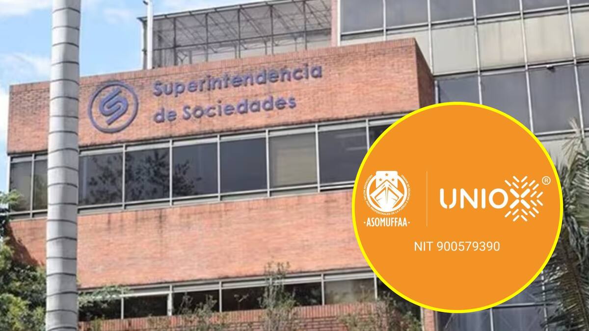 SuperSociedades ordena suspensión de Asociación de Infantes de Marina por captación ilegal