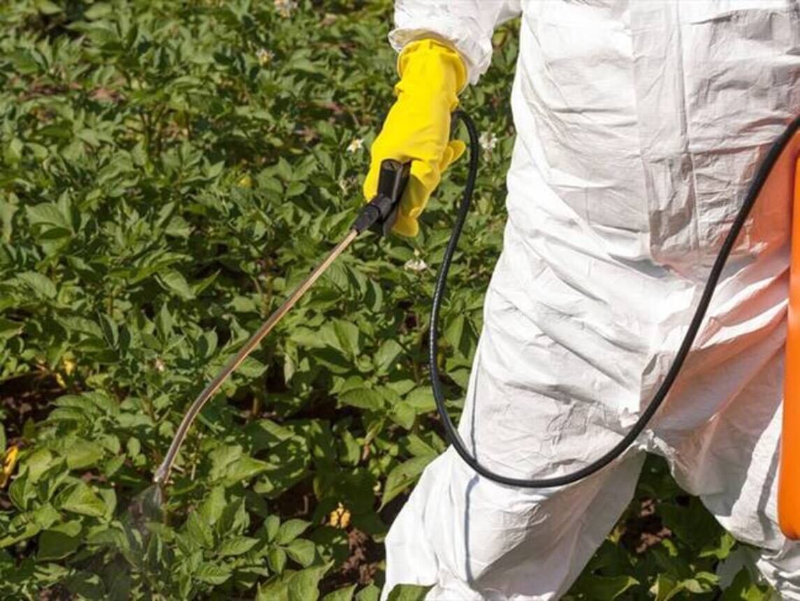 Intoxicación de menores en Pereira / Foto: Getty Images