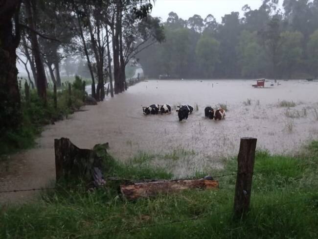Los municipios han pedido ayuda en cuanto maquinaria para poder soportar la emergencia.. Foto: Alcaldía San Miguel de Sema
