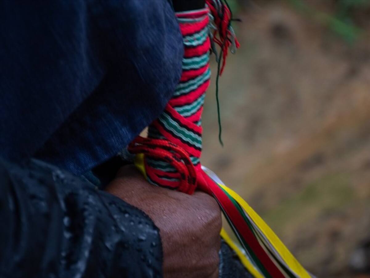 La sentencia que despejó el camino para que los indígenas nasa regresen a sus tierras