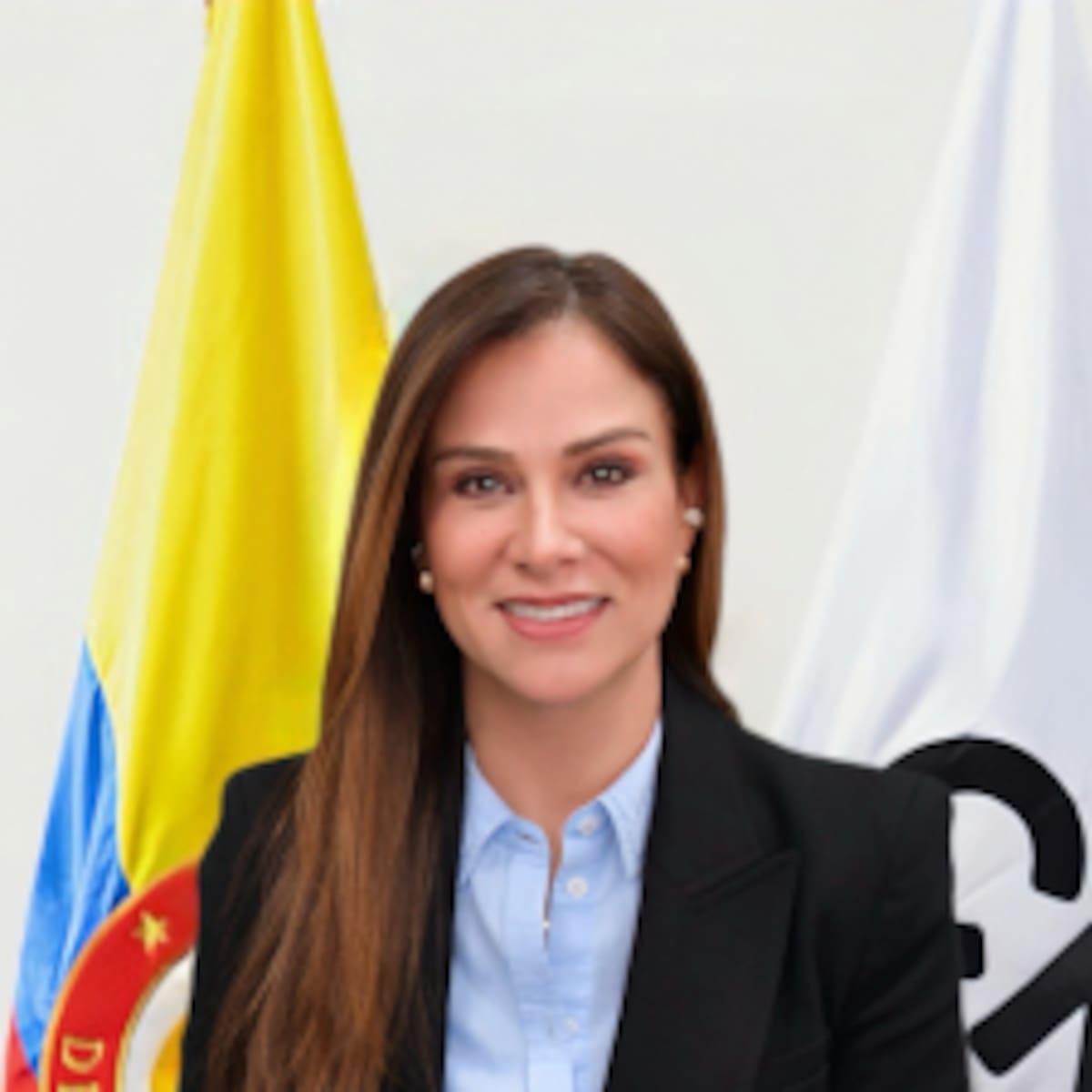 Maritza Martínez es la nueva presidenta del Consejo Nacional Electoral