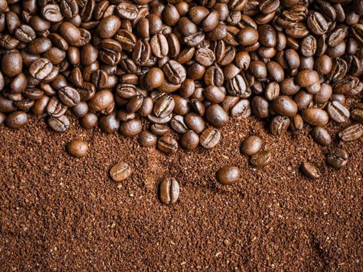 Producción y exportaciones de café registraron leves crecimientos en septiembre