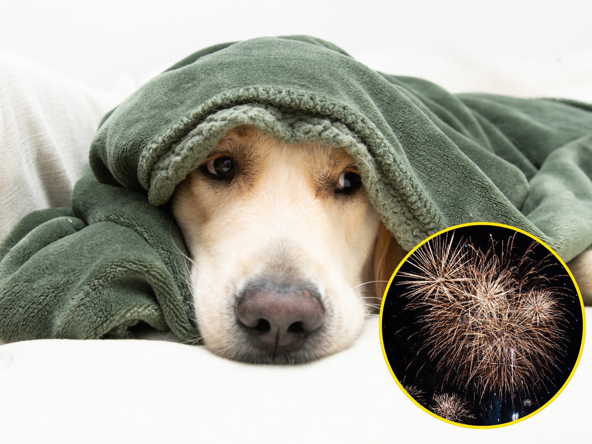 Imagen de referencia. Getty Images.