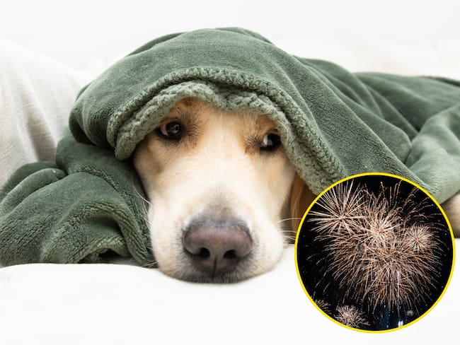 Imagen de referencia. Getty Images.