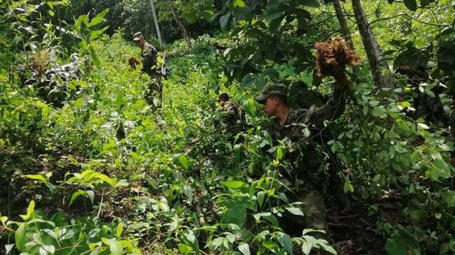 La zona donde se adelantó el operativo fue desarrollada en el municipio de Otanche, Boyacá.. Foto: Primera brigada del Ejército