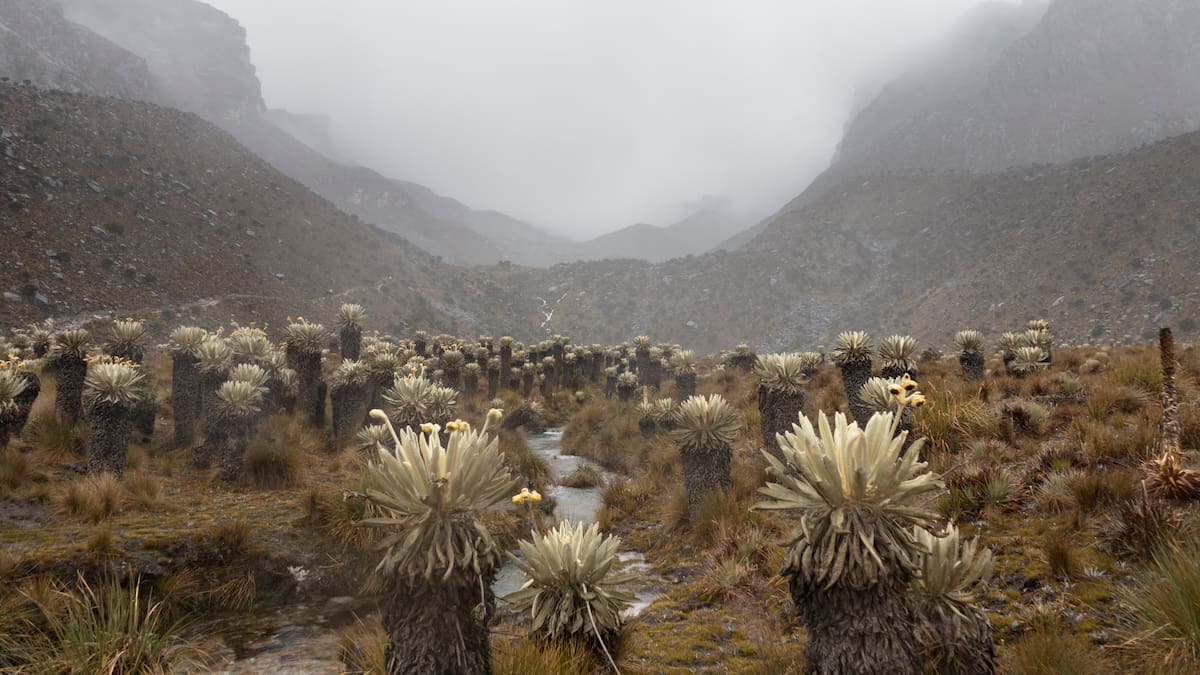 Los departamentos más fríos de Colombia: ¿A cuántos °C han llegado? Boyacá en la lista