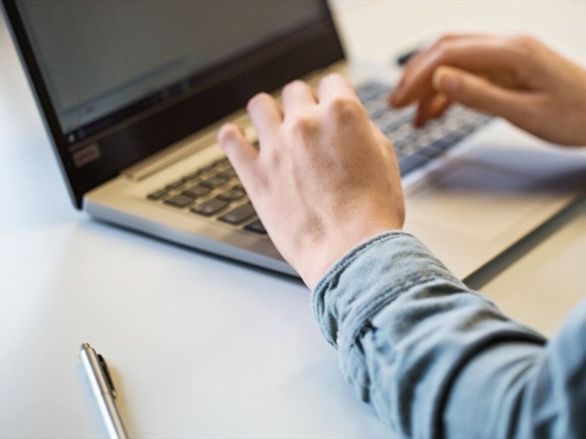 ¿En cuánto crecieron las ventas de comercio online durante el día sin IVA?