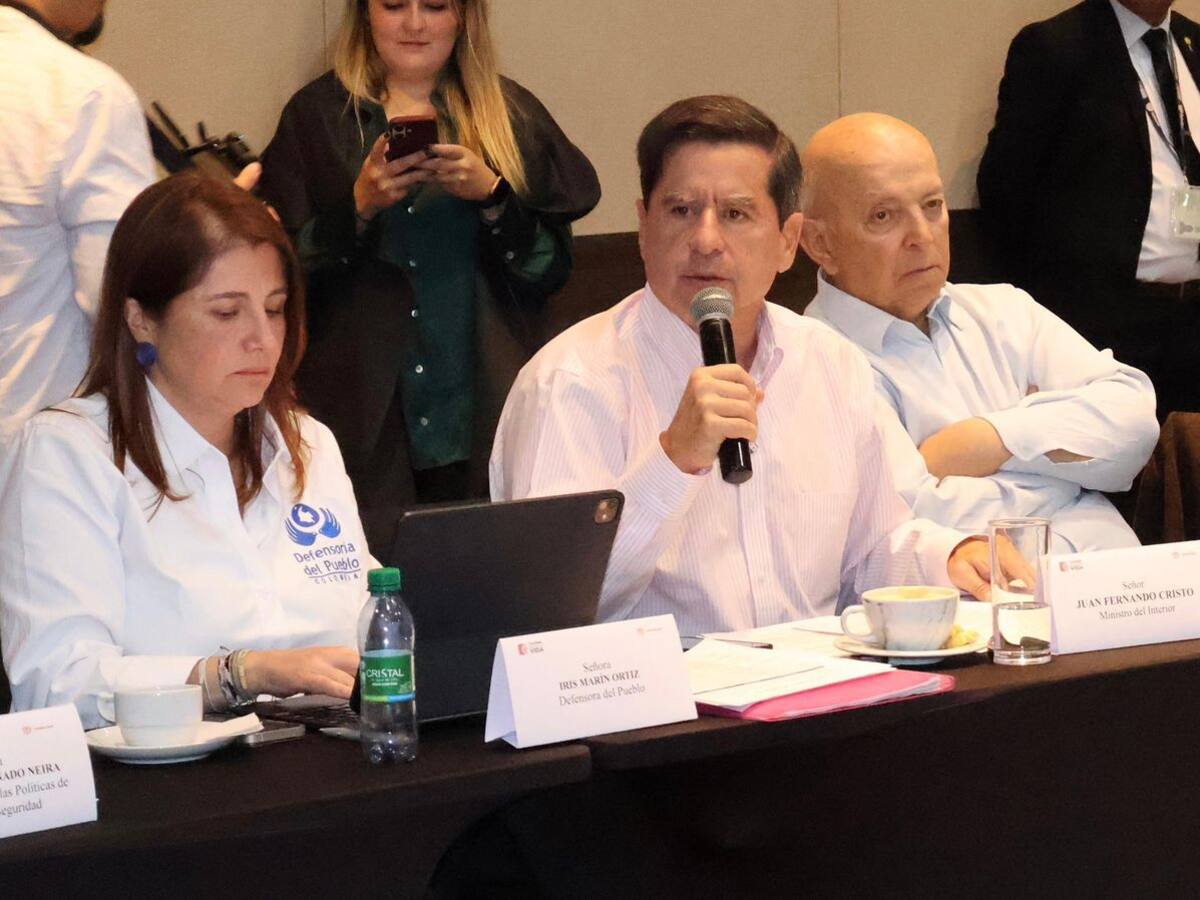 No sigamos pensando que la UNP soluciona problemas de seguridad de defensores de DDHH: MinInterior