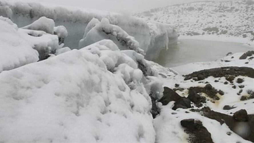 Los funcionarios de la entidad ambiental siguen trabajando con la fuerza pública, la Gobernación y las alcaldías.. Foto: La W