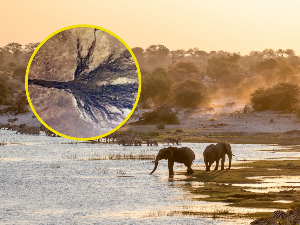 El único río del mundo que desemboca en un desierto y no en el mar: ¿en qué continente queda?