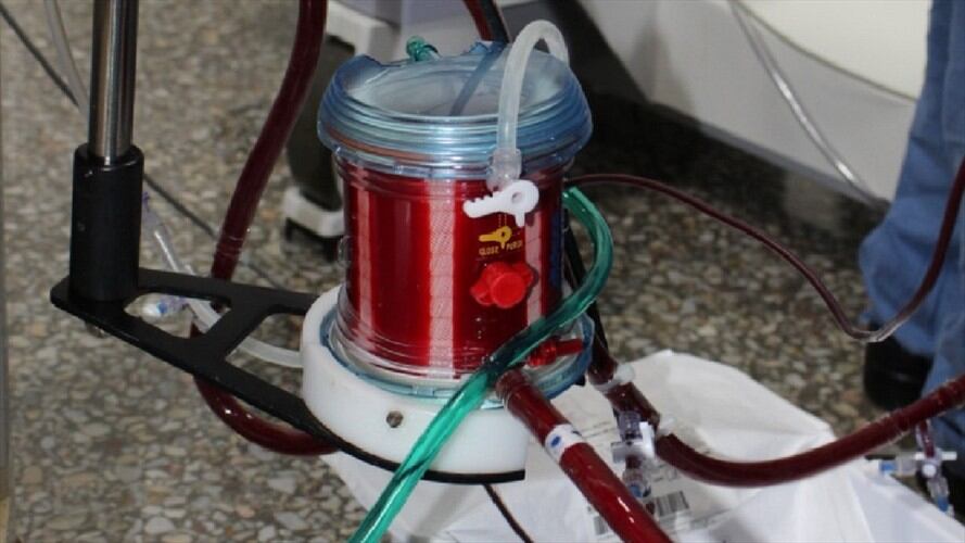 Ecmo Santander. Foto:FCV