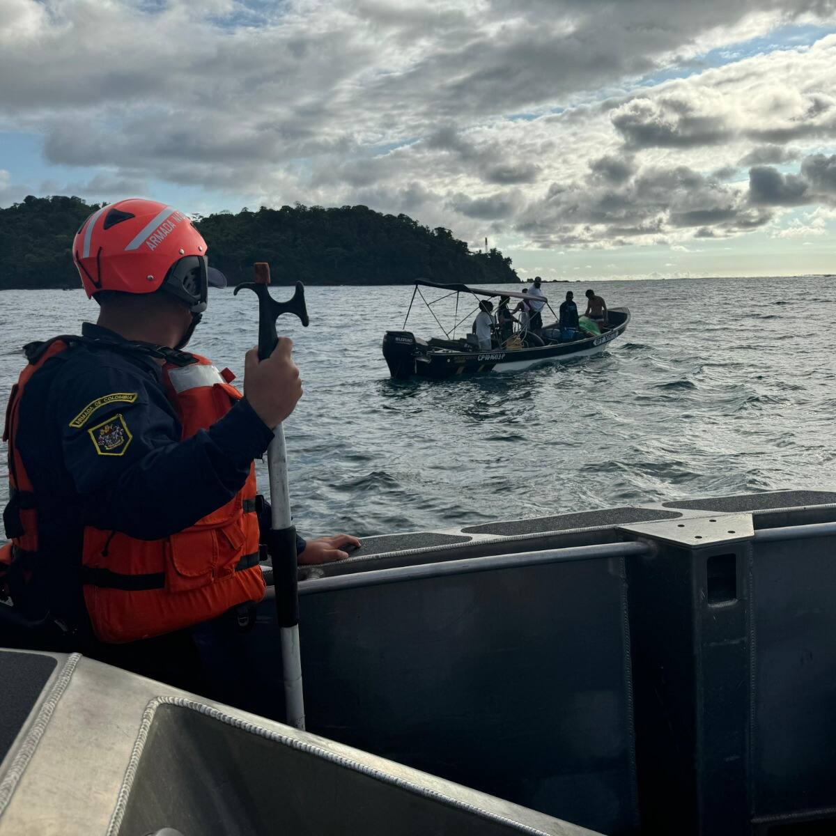 Armada investiga de dónde provienen mallas donde se han enredado 3 ballenas en el Pacífico