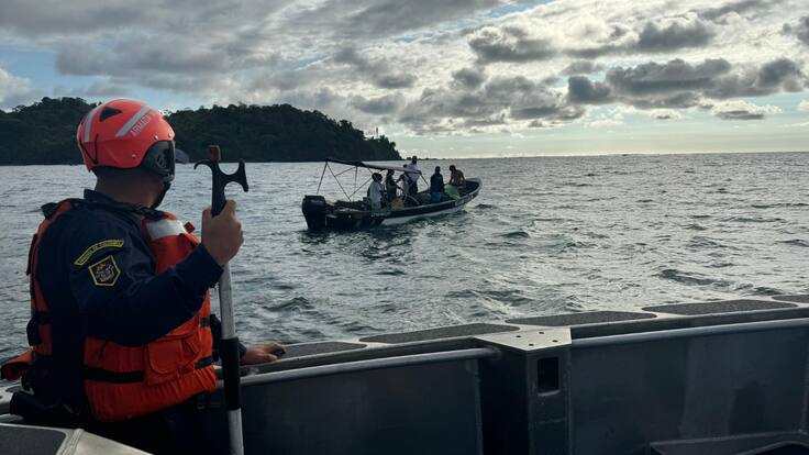 Armada investiga de dónde provienen mallas donde se han enredado 3 ballenas en el Pacífico