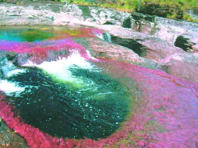 El desafío que tiene el turismo sostenible en medio de la pandemia