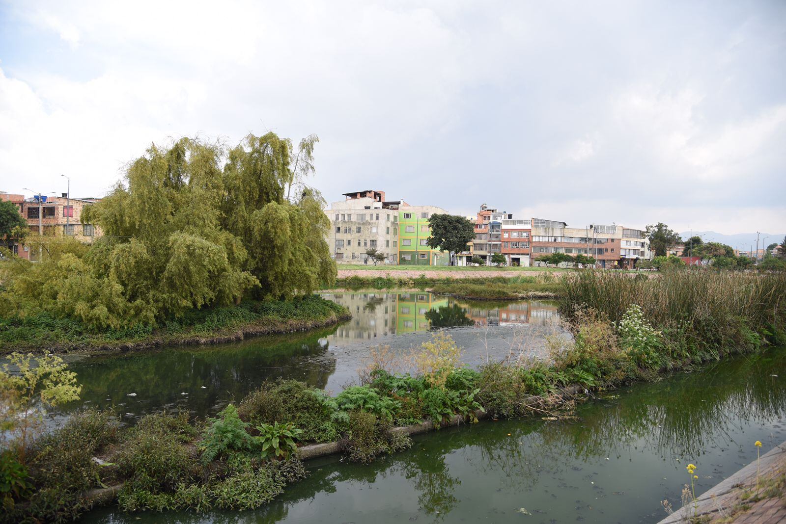 Humedal Jaboque. Foto: Defensoría del Espacio Público / Colprensa