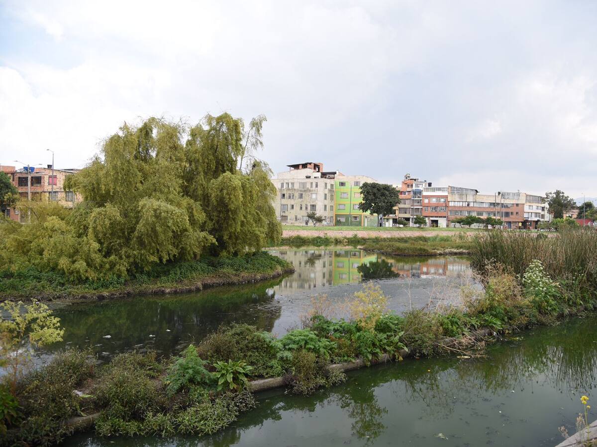 Denuncian que, con retroexcavadoras, “mataron” a un humedal en Bogotá