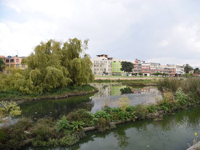 Humedal Jaboque. Foto: Defensoría del Espacio Público / Colprensa