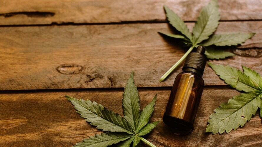 La exportación de flor seca de cannabis medicinal para fines comerciales enfrenta a las empresas del sector privado, pues en el país solo se permite el uso de la flor seca con fines de investigación. Foto: Getty Images / VICTORIA BEE PHOTOGRAPHY