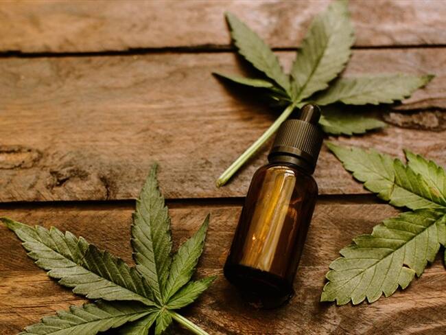 La exportación de flor seca de cannabis medicinal para fines comerciales enfrenta a las empresas del sector privado, pues en el país solo se permite el uso de la flor seca con fines de investigación. Foto: Getty Images / VICTORIA BEE PHOTOGRAPHY