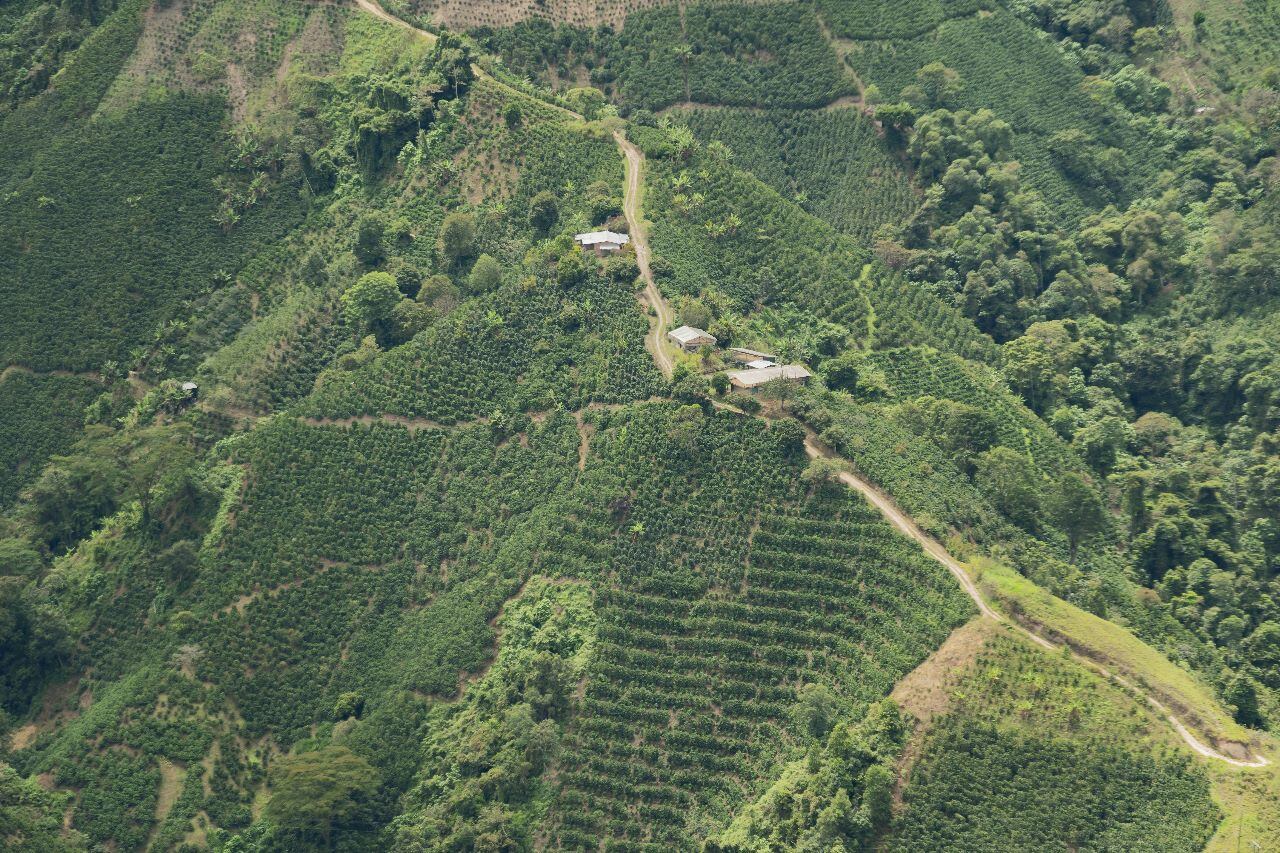 Foto Gobernación del Huila, campesinos del sur del departamento.