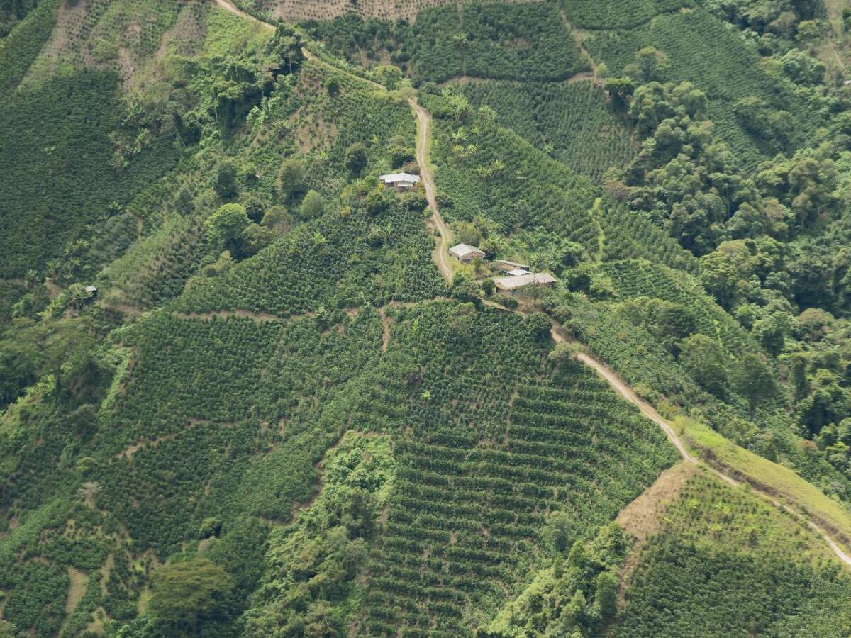 Campesinos del Atlántico protestan por inclusión en la reforma agraria