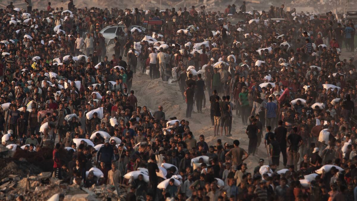 Al menos 89 muertos en Gaza este 11 de agosto, 31 de ellos buscaban ayuda humanitaria
