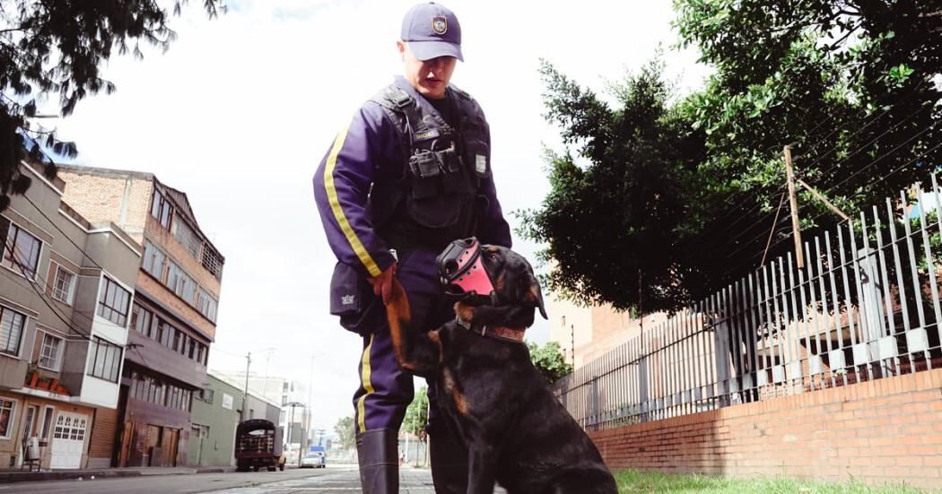 Secretaría de Salud de Bogotá dejará de usar perros en la seguridad de algunas de sus sedes. Foto: Alcaldía de Bogotá