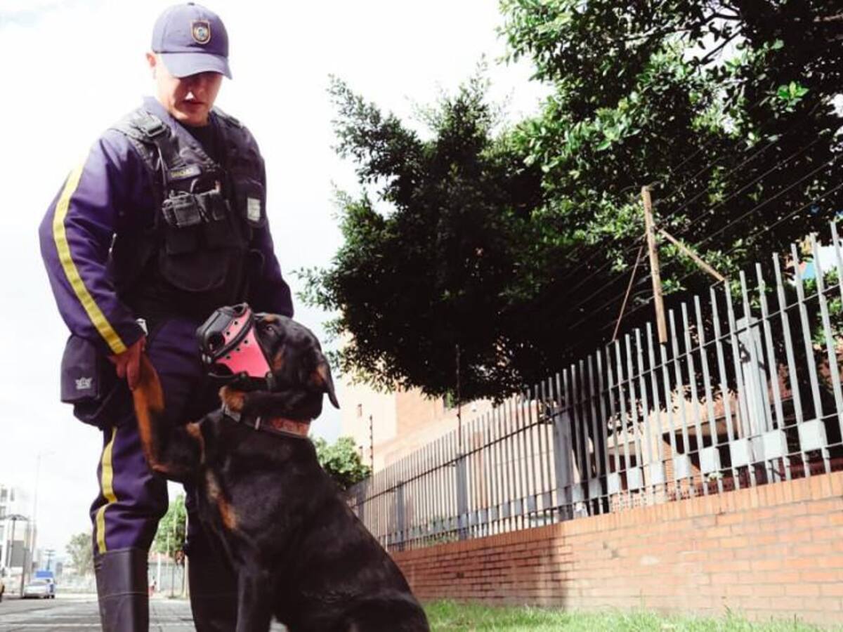Secretaría de Salud de Bogotá dejará de usar perros en la seguridad de algunas de sus sedes