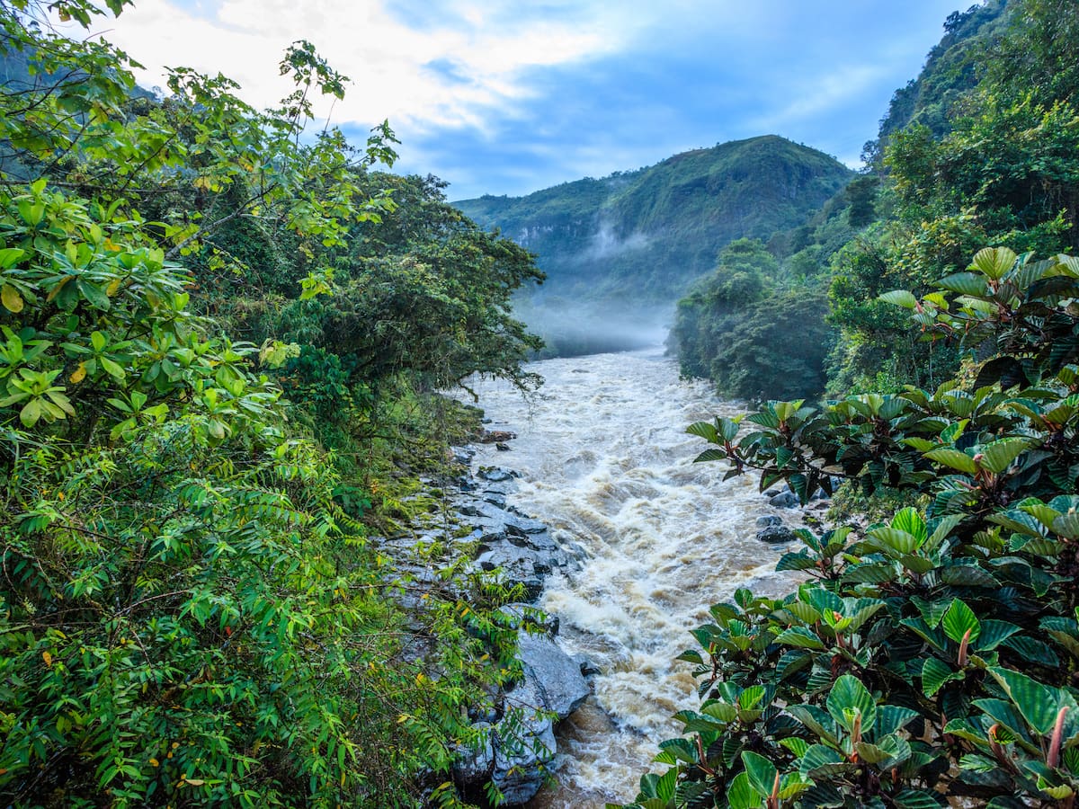 ¿Dónde comienza y dónde termina el río Magdalena? Atraviesa 20 departamentos de Colombia