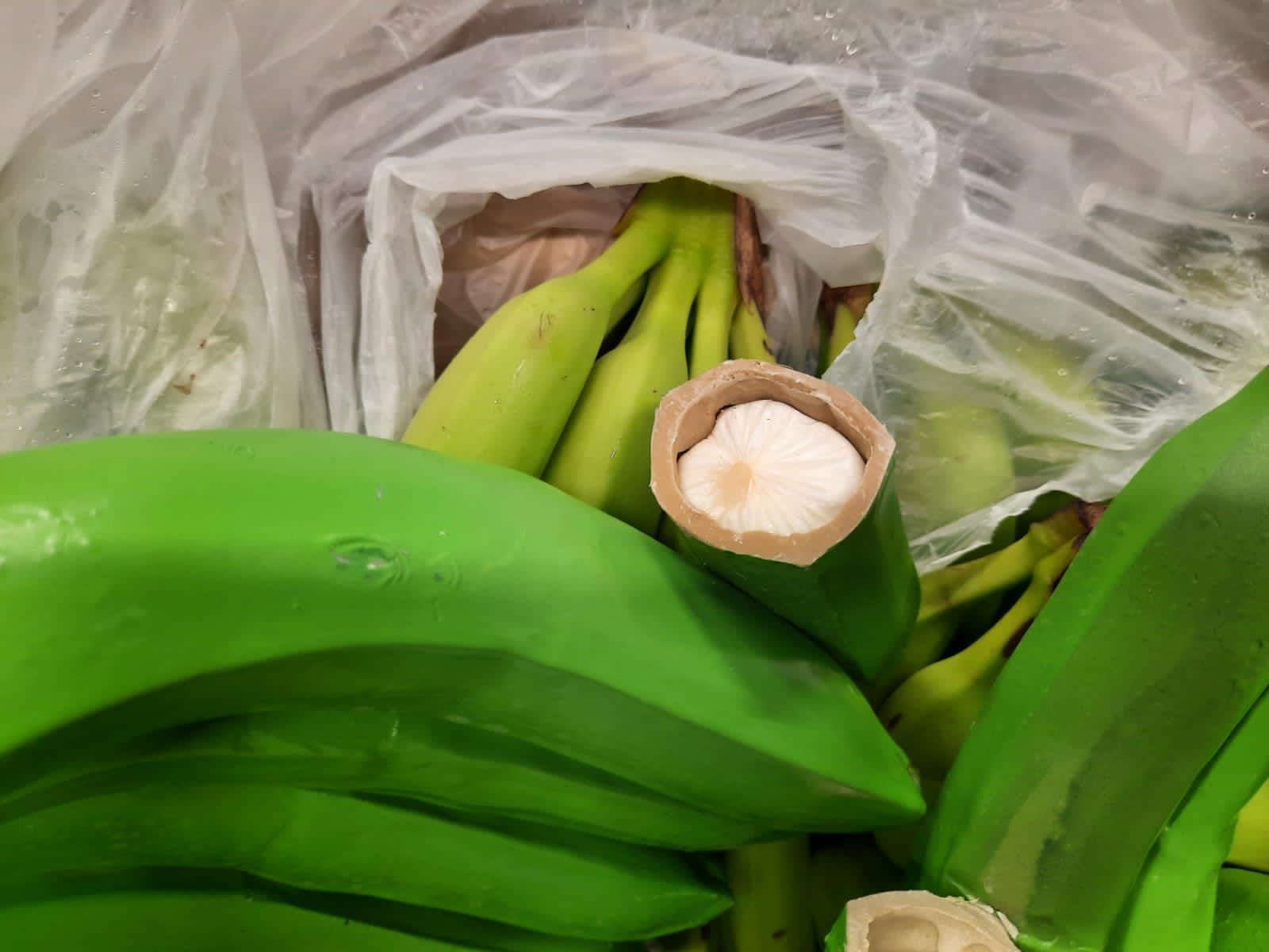 Incautación de la droga en Santa Marta. Foto: cortesía Policía Antinarcóticos