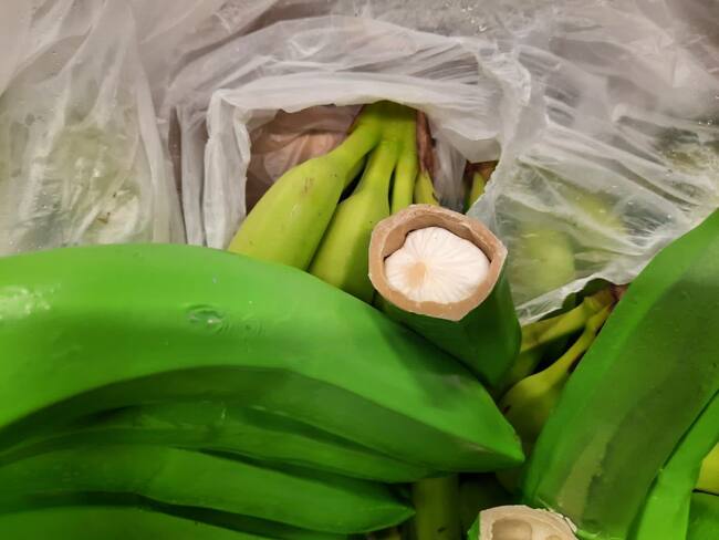 Incautación de la droga en Santa Marta. Foto: cortesía Policía Antinarcóticos