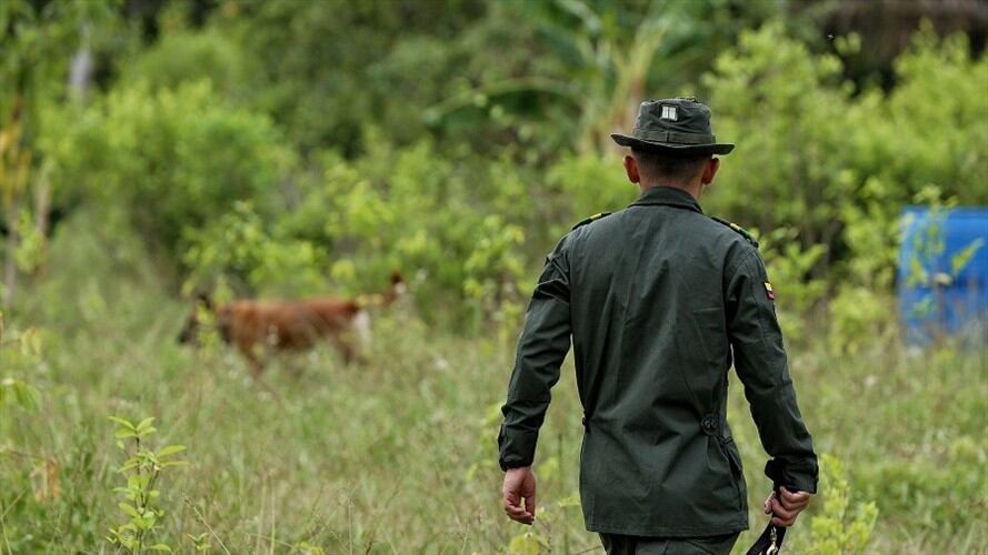 Imagen de referencia. Foto: Colprensa.