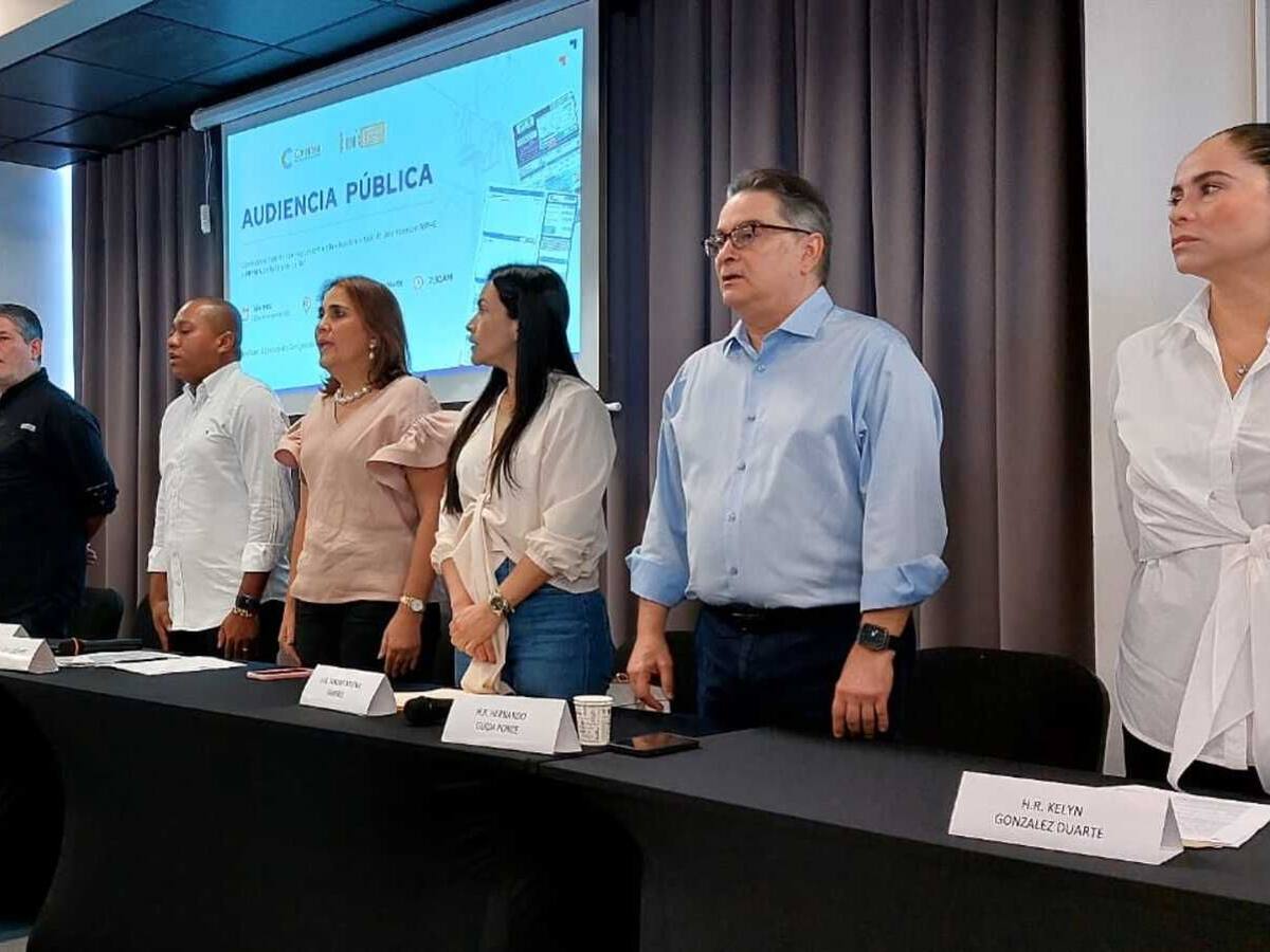 Congresistas solicitan al Gobierno que asuma las pérdidas del servicio de energía