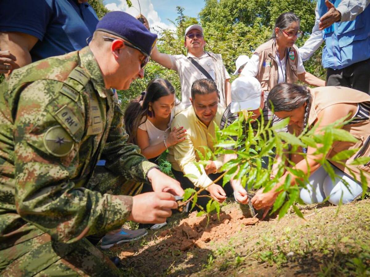 Militares y firmantes de paz se unieron para la siembra de árboles