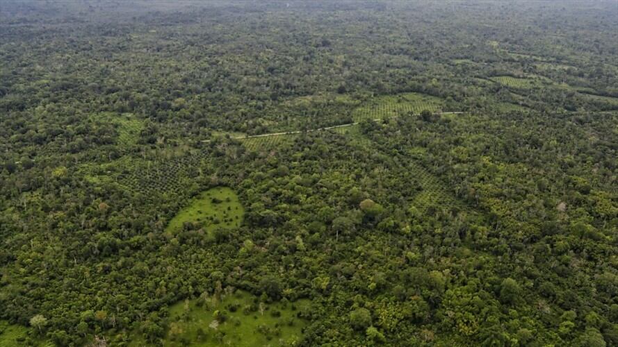 Iniciaron trabajos para quitar energía en zonas con cultivos ilícitos en Cauca. Foto: Colprensa