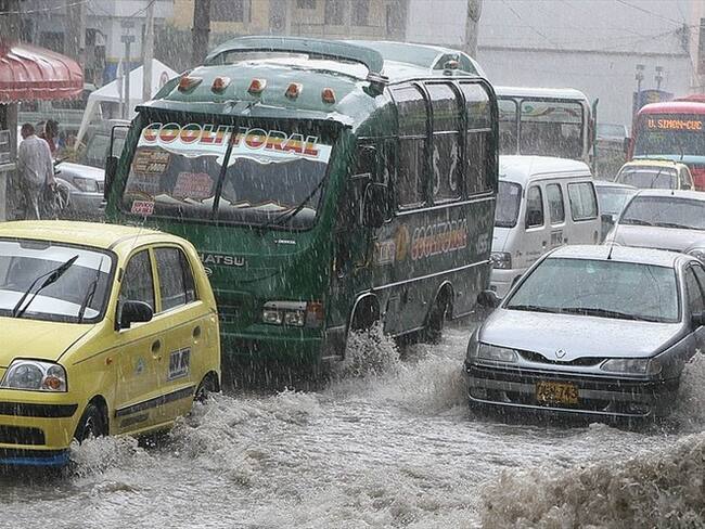 Árbol que cayó sobre la vía generó caos vehicular. Foto: Tránsito Bogotá