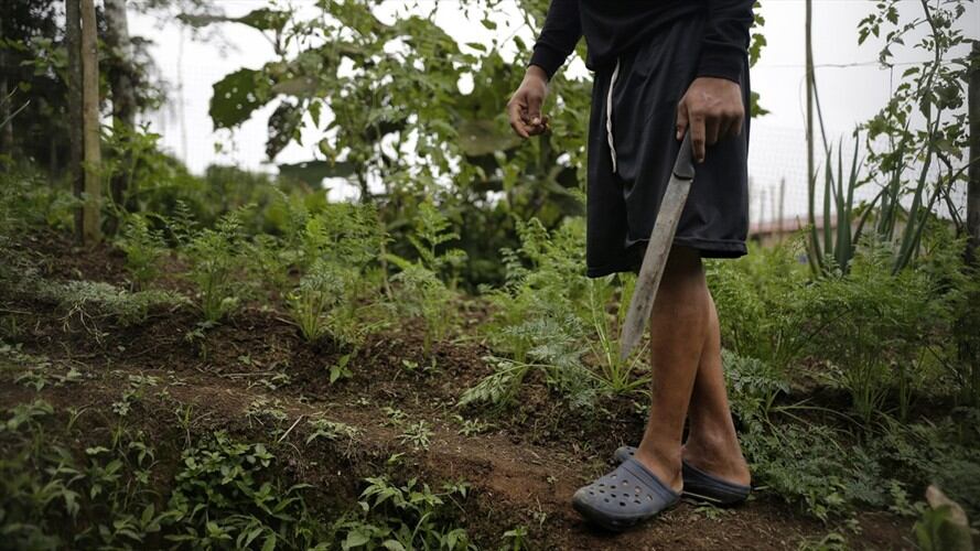 En lo corrido del año 2021 han sido asesinados 30 excombatientes en el país. Foto: Colprensa