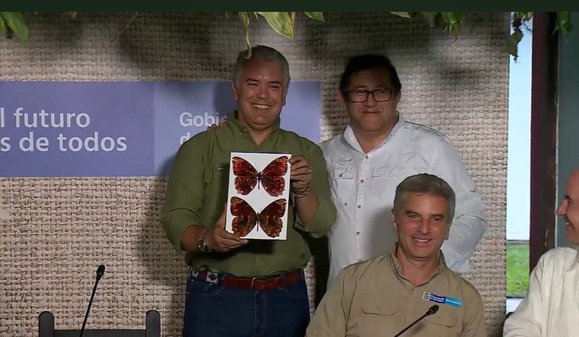 Especie nueva de mariposa llevará el nombre del presidente Iván Duque. Foto: Transmisión Presidencia de la República
