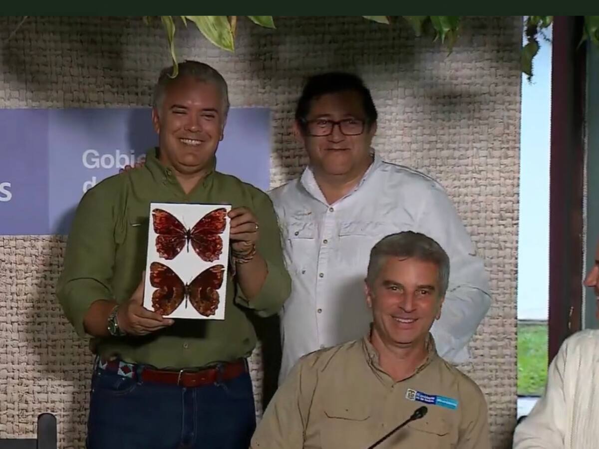 Especie nueva de mariposa llevará el nombre del presidente Iván Duque