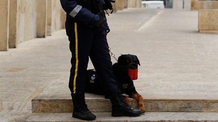 Les explicamos si los vigilantes de seguridad privada pueden utilizar estas armas mientras prestan el servicio. . Foto: Colprensa - Juan Páez