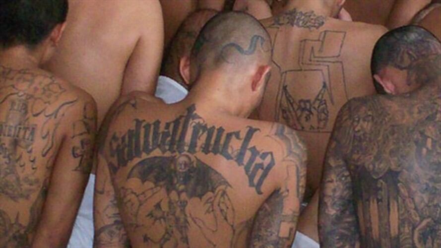 Imagen de referencia pandilleros de MS13. Foto: Agencia Anadolu