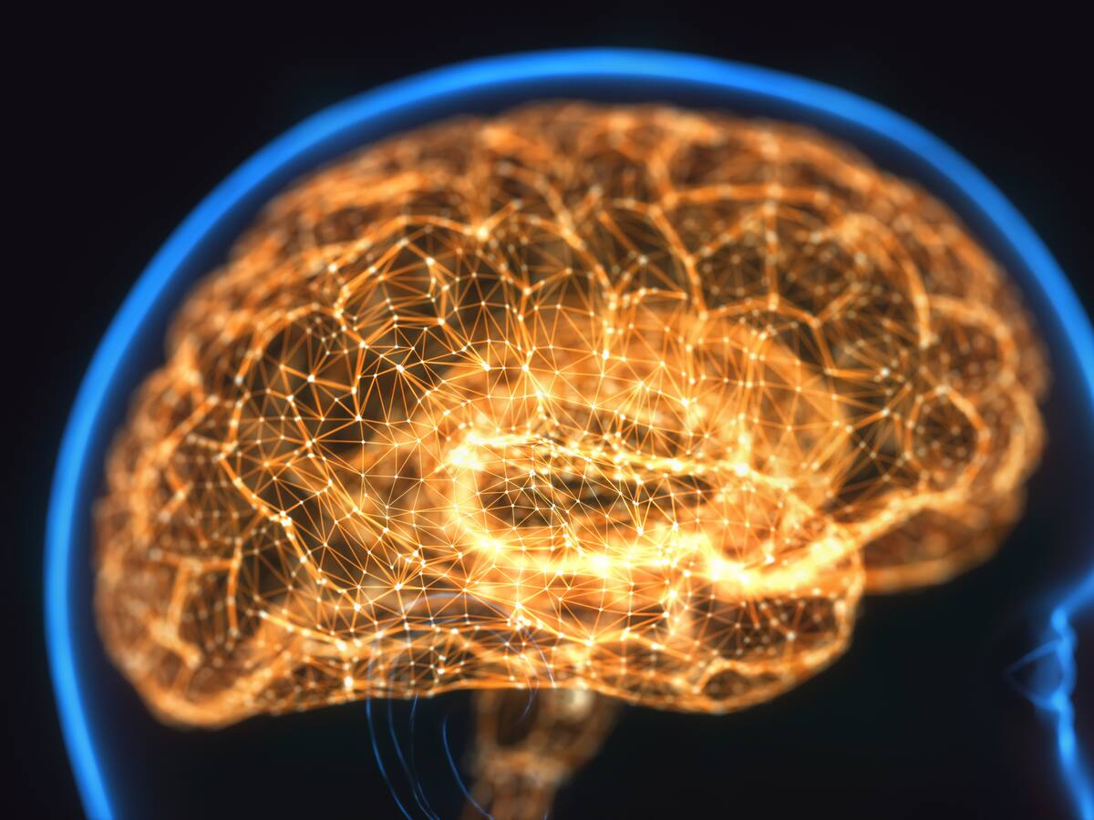 ¿Cuáles son las vitaminas que hacen que el cerebro sea más joven? Neurólogo respondió
