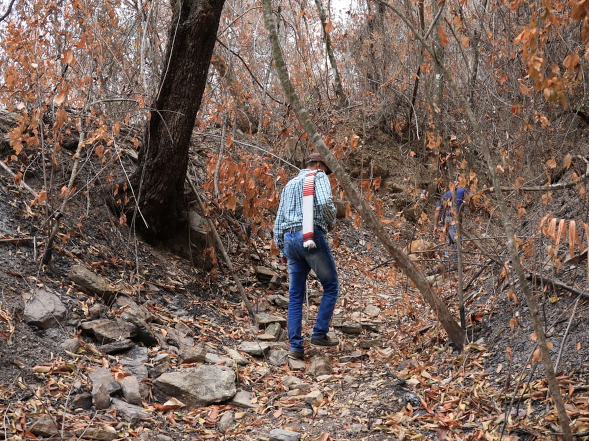 Inició diagnóstico para evaluar pérdidas en el campo tolimense tras incendios forestales