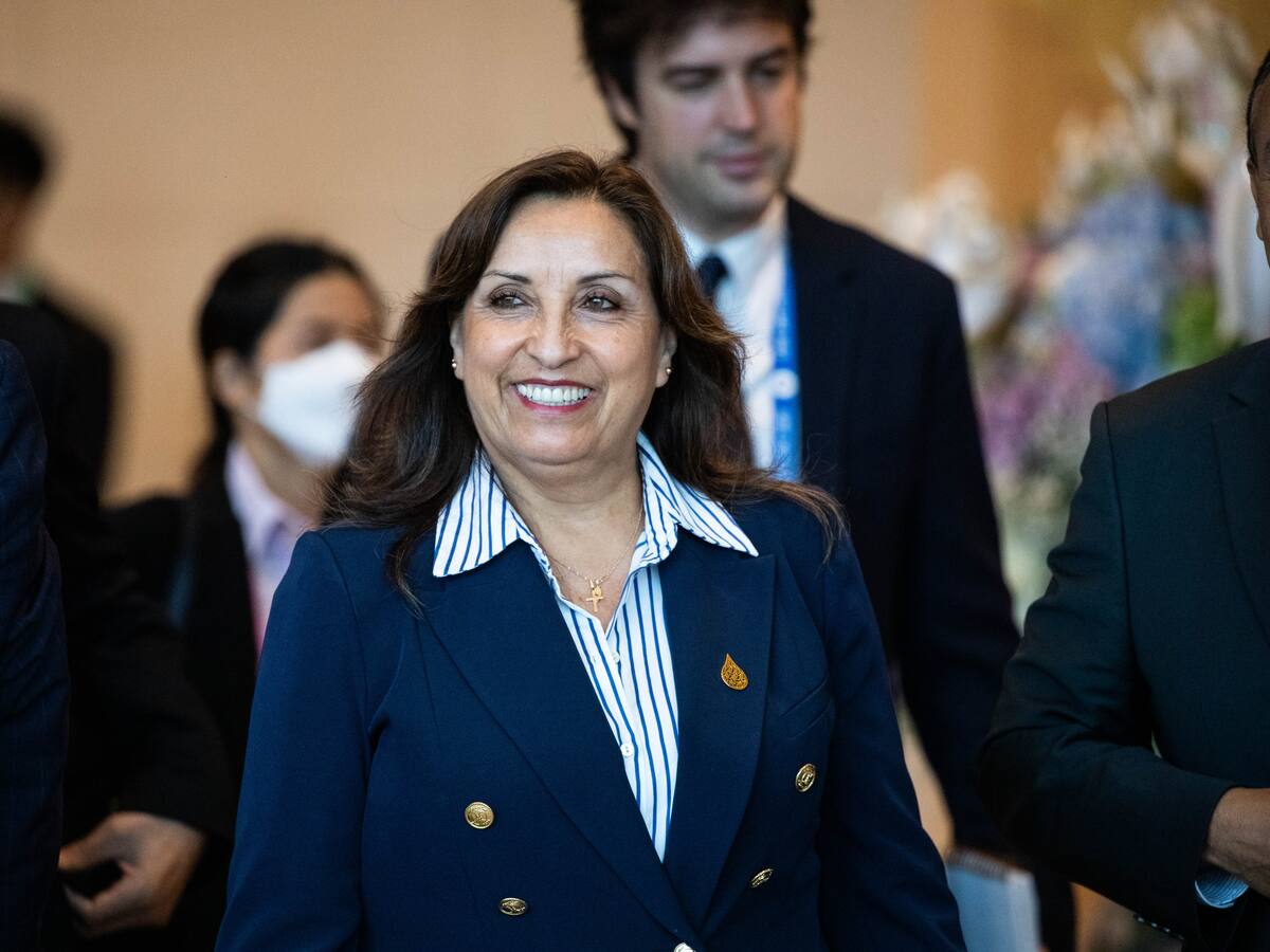 Presidenta de Perú pide a la OEA apoyo regional para adelantar las elecciones