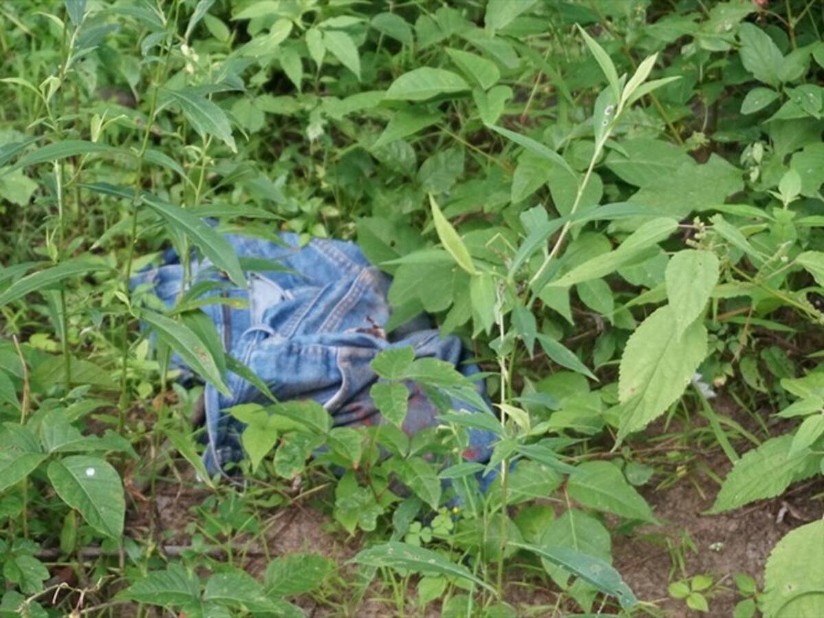 Retienen a biólogo de MinAmbiente en Caquetá