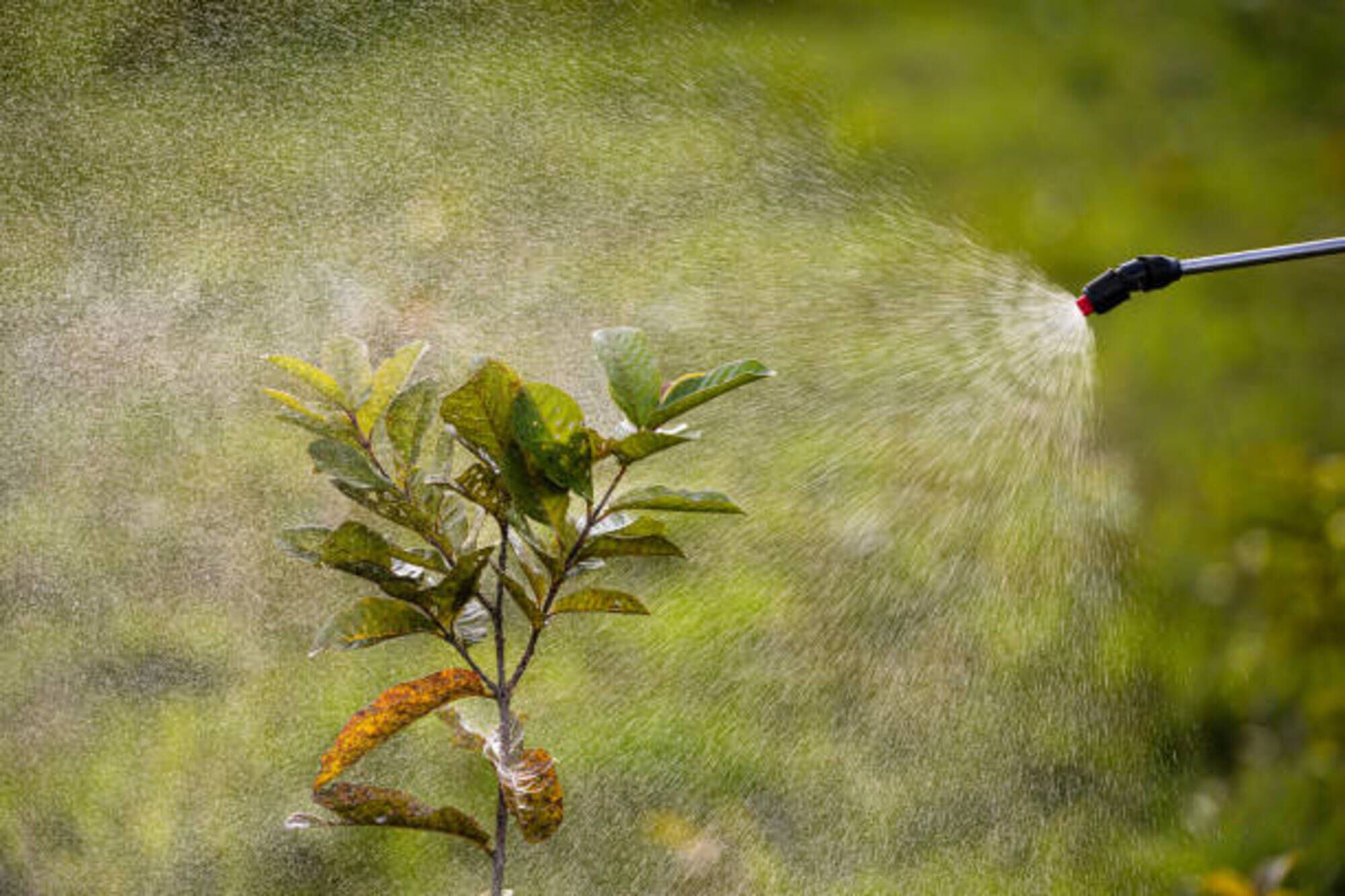 Imagen de referencia/ Getty Images 
