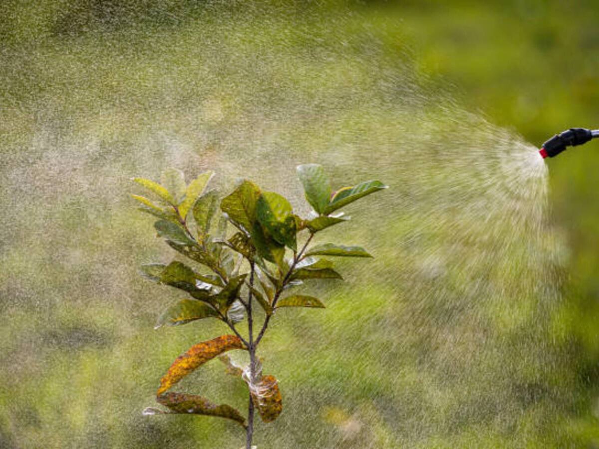 7 menores y un adulto resultaron intoxicados con insecticida en El Banco, Magdalena