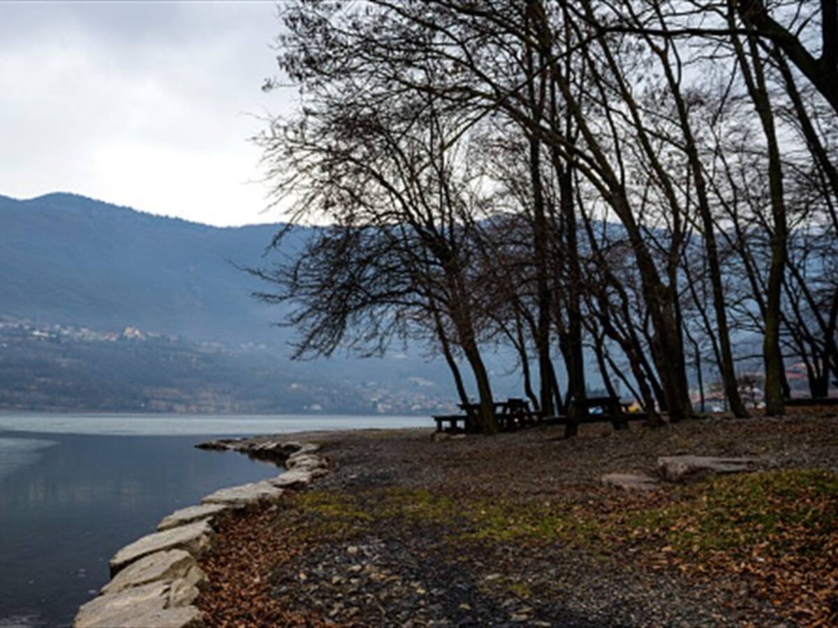 Cinco minutos en la naturaleza te harán más feliz